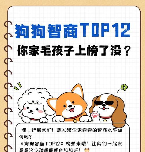 泰迪犬的智商相当于人类几岁？正常值范围是多少？