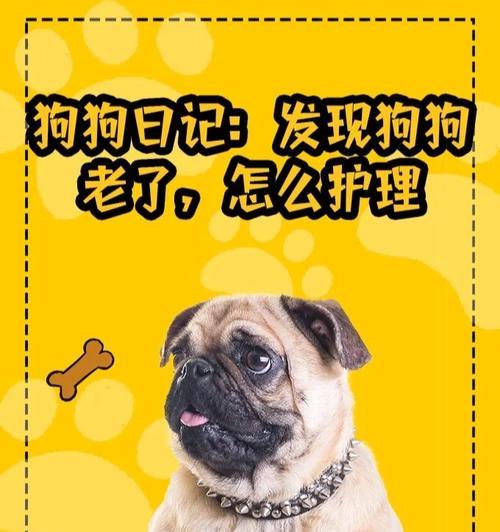 小型犬卡嗓子会出现哪些症状？如何预防和处理？