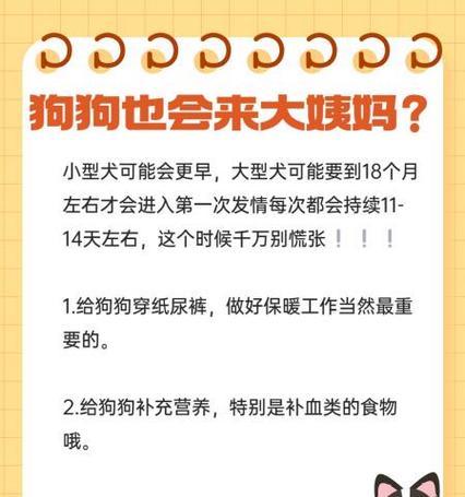 小型犬卡嗓子会出现哪些症状？如何预防和处理？