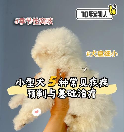 小型犬卡嗓子会出现哪些症状？如何预防和处理？