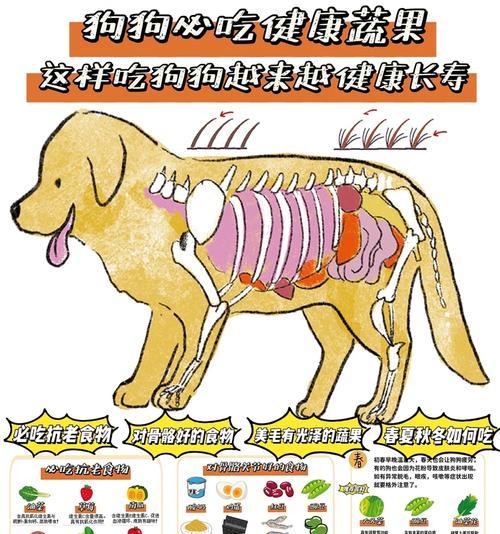 狗吃全价粮需要吃肉吗为什么？全价粮的营养成分是什么？