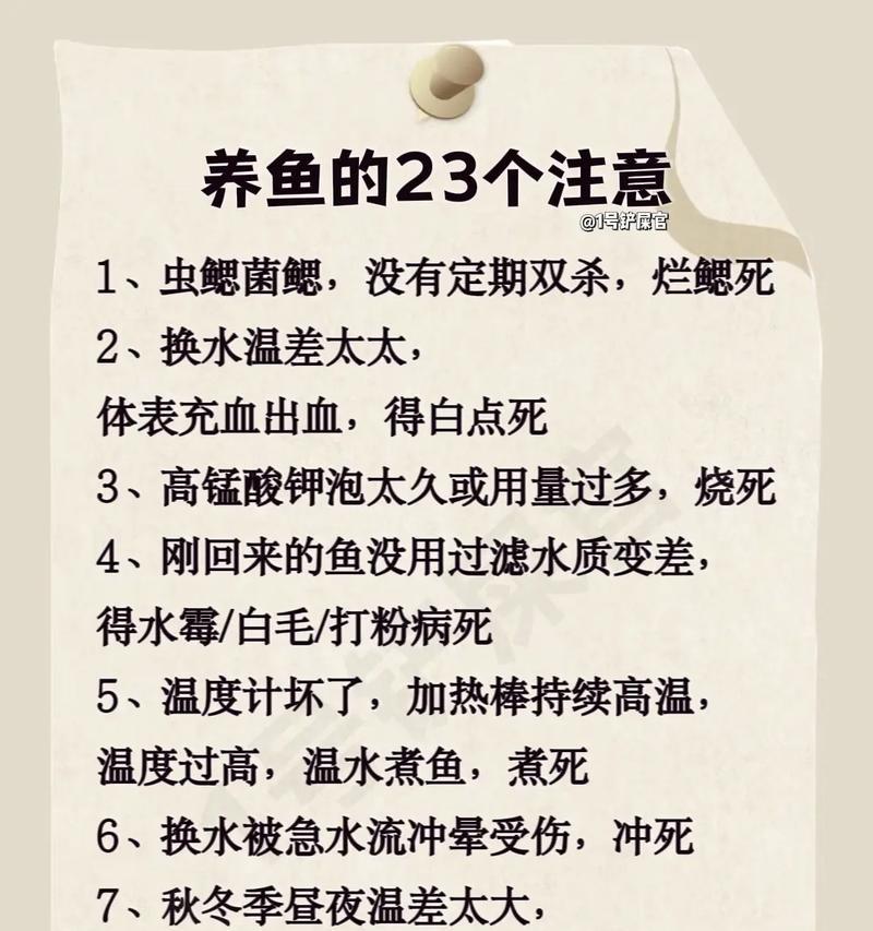 拿什么喂鱼苗最适宜？怎样确保鱼苗健康成长？