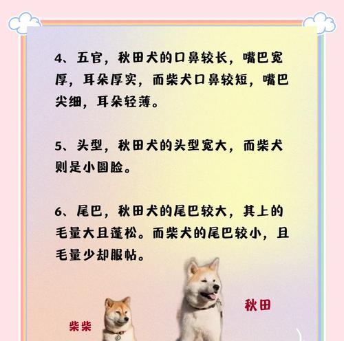 柴犬能耐受的最低温度是多少？如何为柴犬保暖？