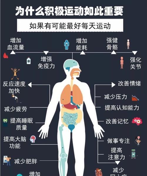 泰迪进行强化锻炼有用吗？费用大概是多少？