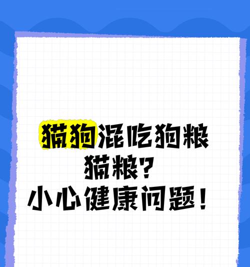 狗狗偏爱吃猫粮怎么办？如何调整饮食习惯？