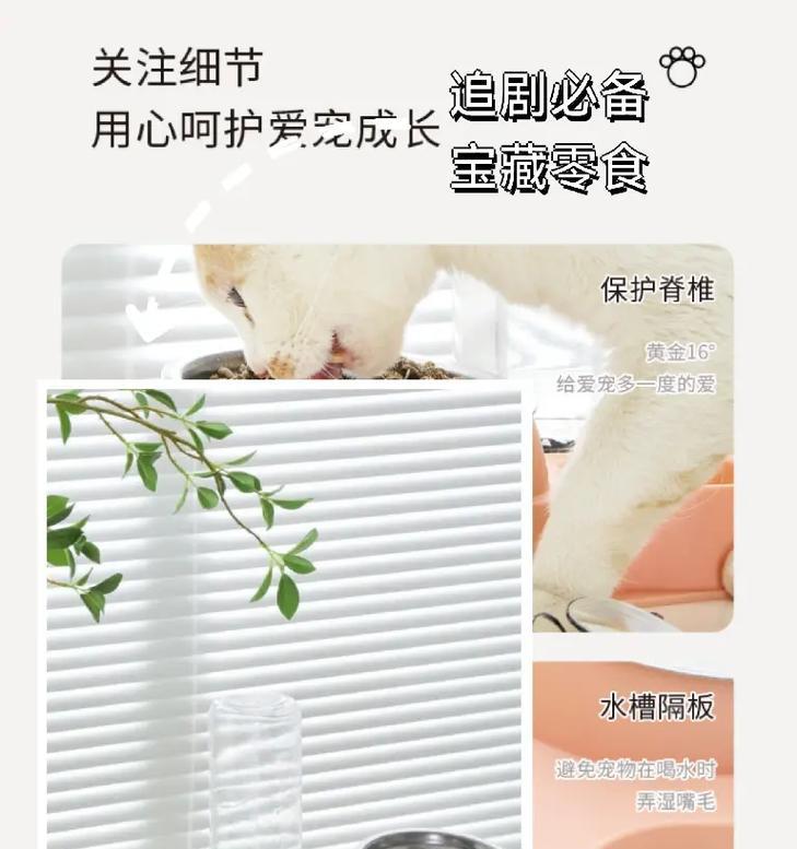 防狗偷吃的猫粮碗怎么用？如何正确使用？