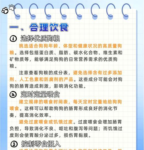 狗狗肠道配方粮的正确喂食方法是什么？有哪些注意事项？