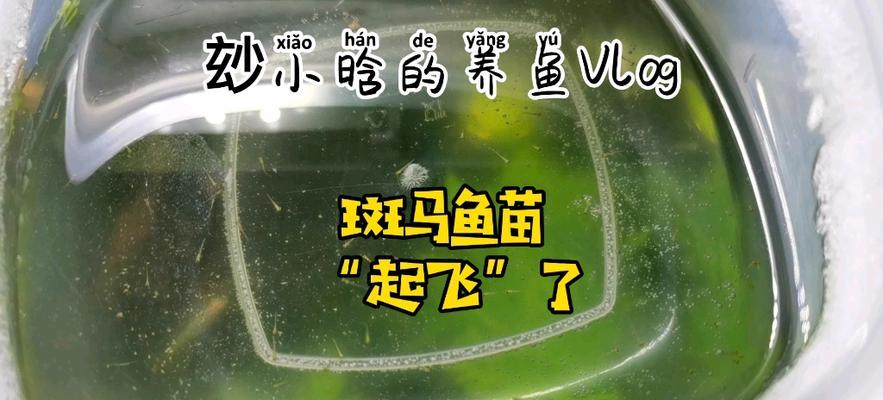 鱼苗起飞之前死掉了什么原因？如何预防这种情况？