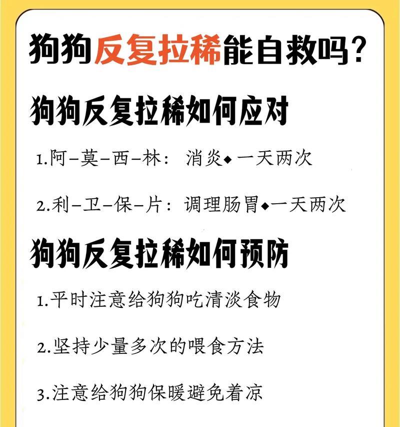 狗狗换粮后拉软便是什么原因？应该吃什么药来缓解？