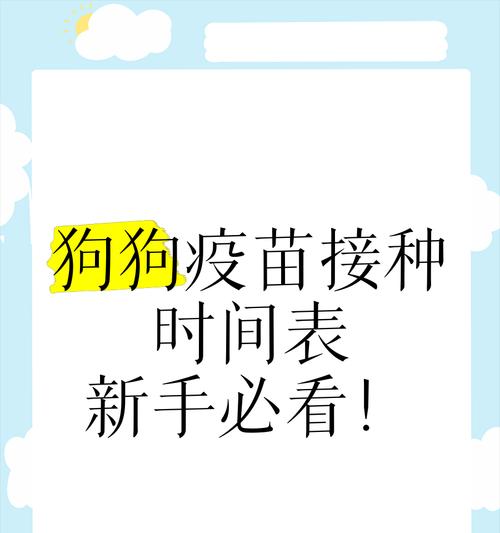 给泰迪狗打疫苗需要多少毫升？打疫苗的正确流程是什么？