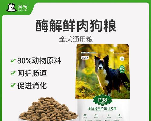 小型犬成犬专用粮推荐？如何选择合适的品牌？