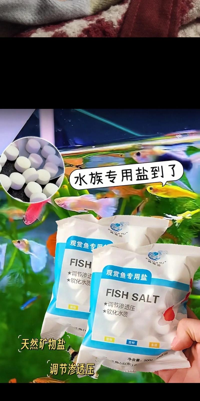 放鱼苗前放食用盐的原因是什么？食用盐对鱼苗有何作用？