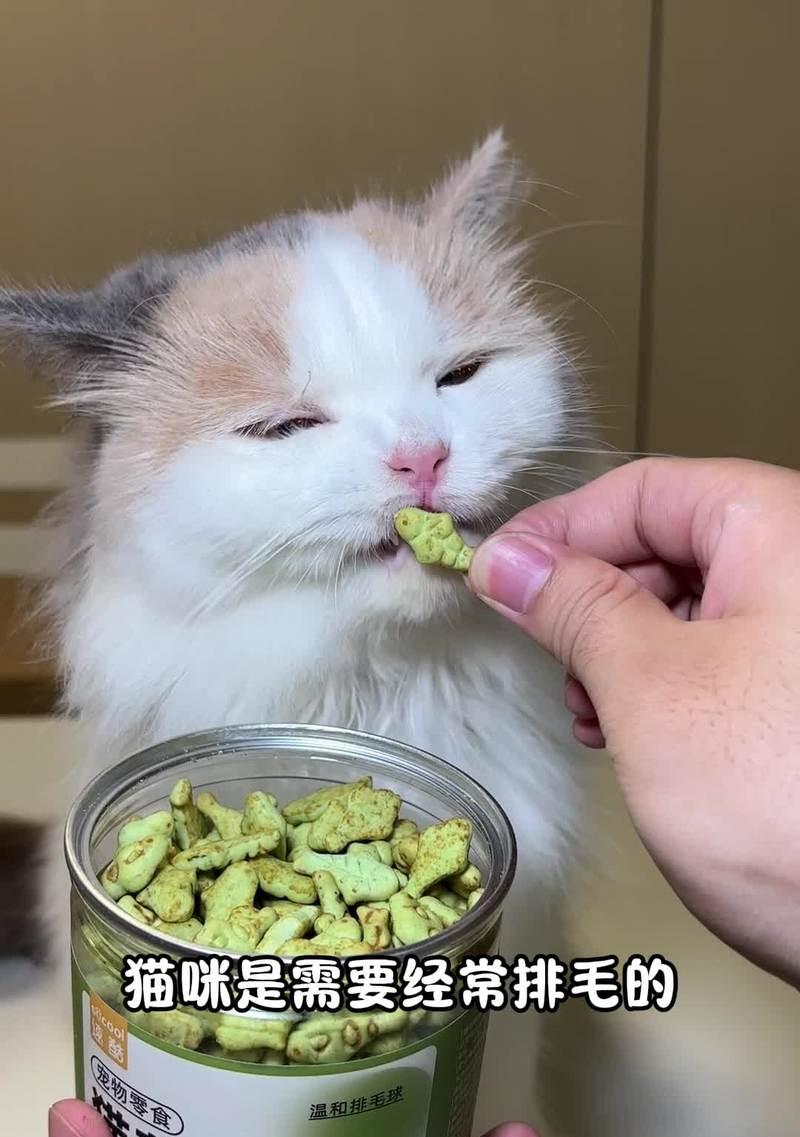 猫为什么拒绝吃狗舔过的食物？