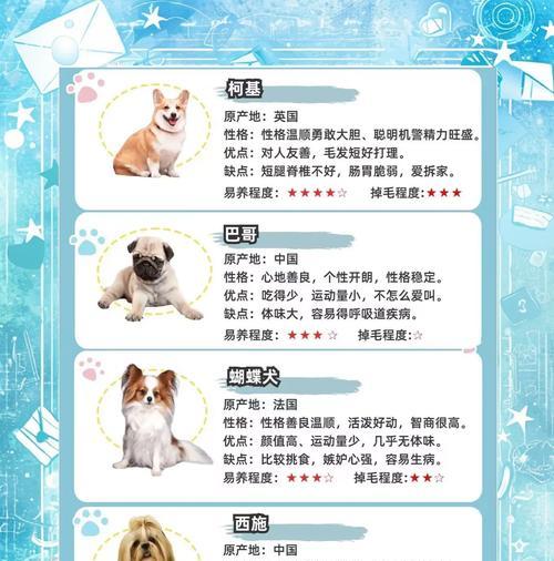 有哪些小型犬不爱吠叫？选择不爱吠叫的小型犬的好处是什么？