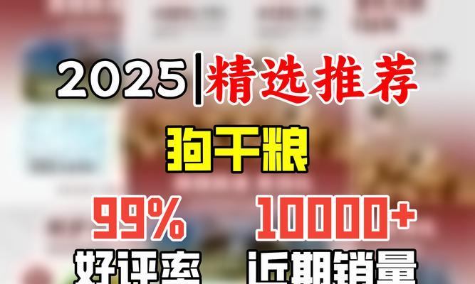 杭州西湖区办理狗证需要多少钱？柴犬办证流程是怎样的？