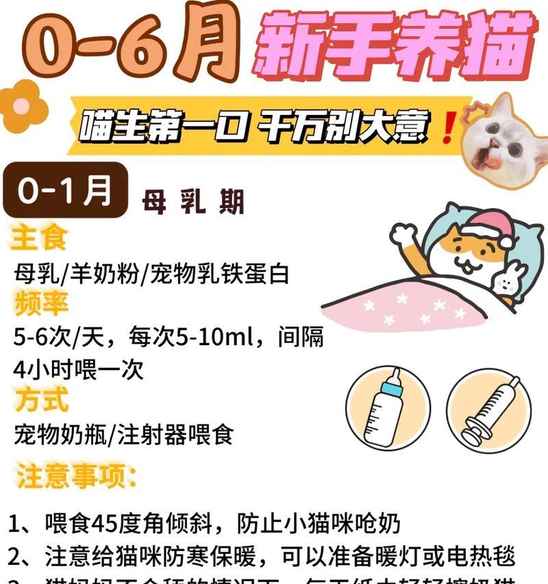 奶爸喂娃时猫也想吃猫粮是为什么？如何处理这种情况？