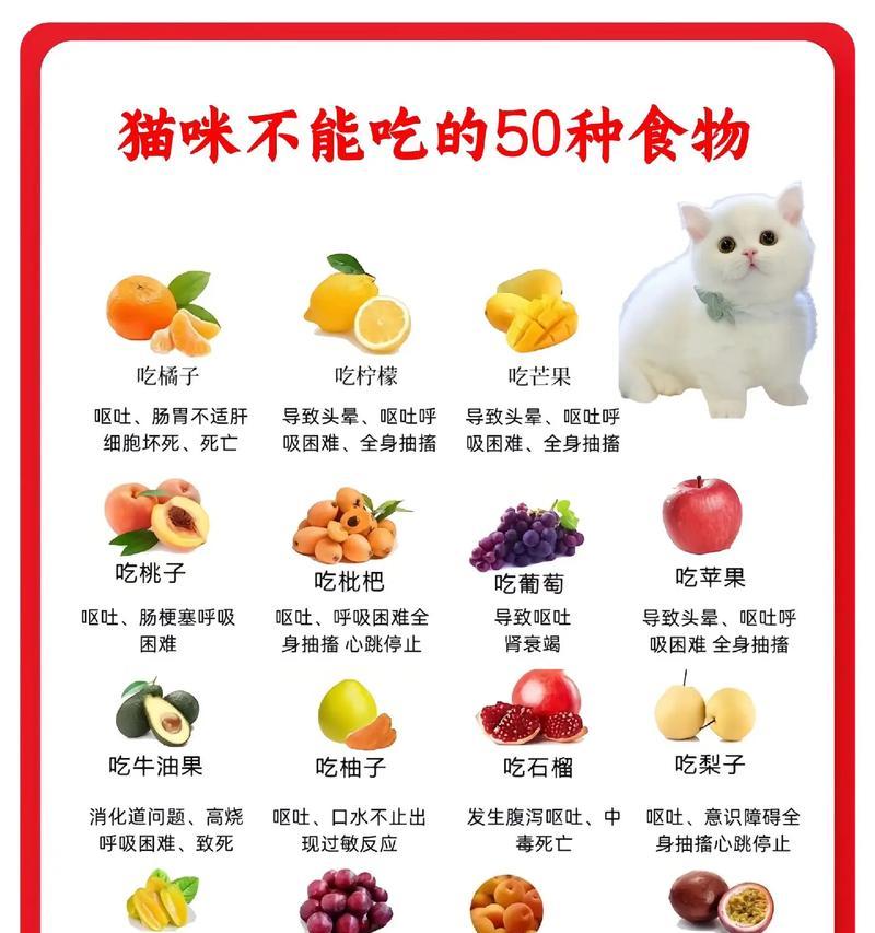 7个月猫咪一天吃不到50克猫粮会怎样？是否需要调整饮食？