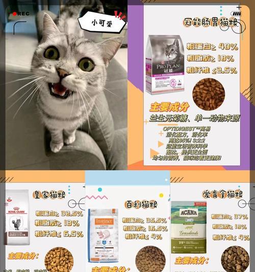 7个月猫咪一天吃不到50克猫粮会怎样？是否需要调整饮食？