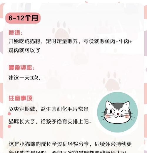 7个月猫咪一天吃不到50克猫粮会怎样？是否需要调整饮食？