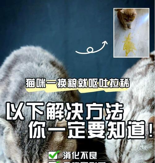 猫看到猫粮掉下来震惊怎么回事？猫咪的这种反应有什么含义？