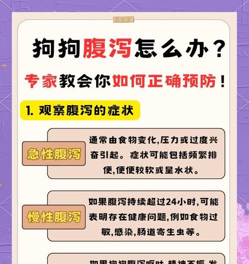 狗吃犬湿粮拉稀怎么回事？可能的原因是什么？