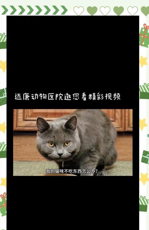 猫咪食欲不振且体重减轻是什么原因？