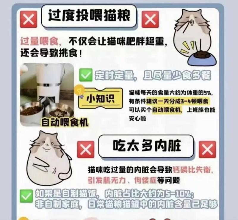 猫粮用完时如何应急喂食？