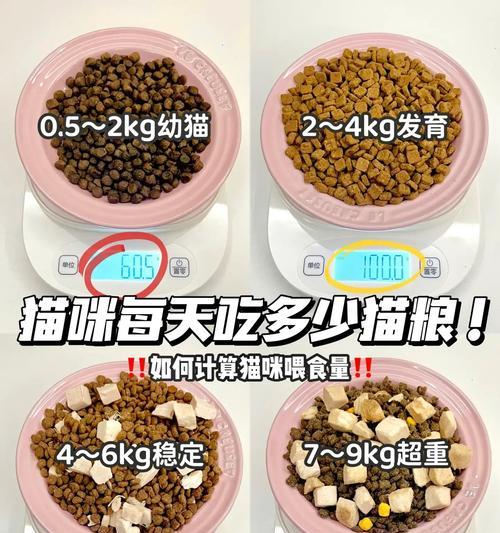 猫粮n1与n4的区别是什么？