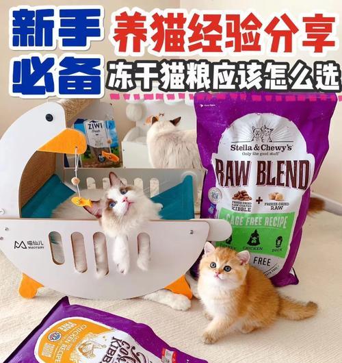 猫粮储藏干燥的方法是什么？