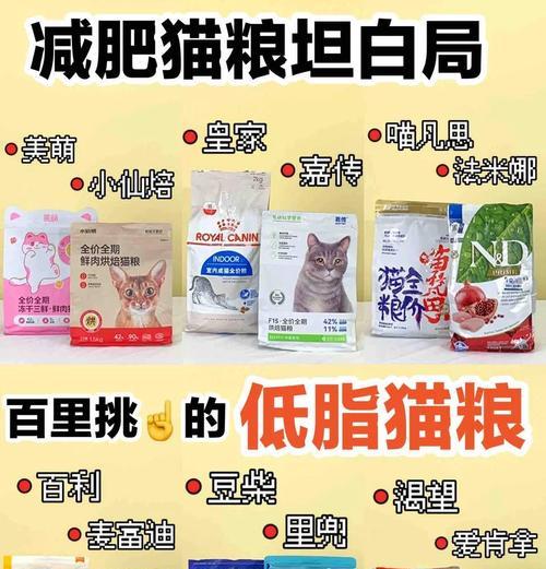 猫咪肚子肥怎么办？哪种猫粮有助于减肥？