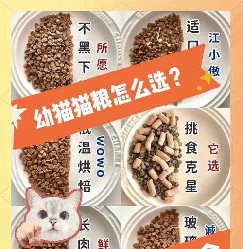 开设猫舍时应选择哪种猫粮？如何根据猫的年龄和健康状况挑选猫粮？