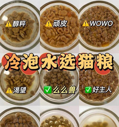 泡水后猫粮质量如何判断？