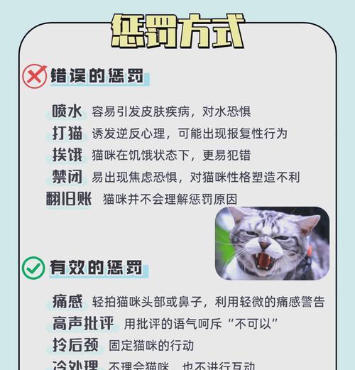 猫咪食用猫粮后异常行为的处理方法是什么？