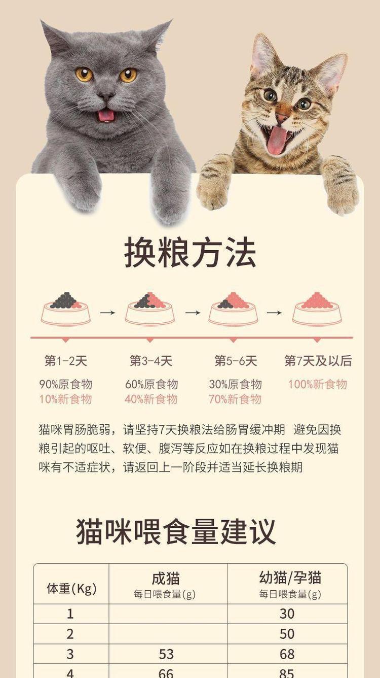 猫咪电子秤如何使用？如何用电子秤控制猫粮摄入量？